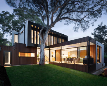 Tree House